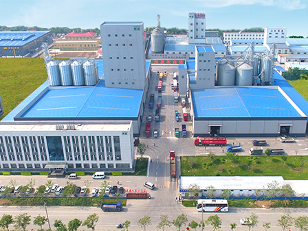 點擊查看更多【分子公司】內容